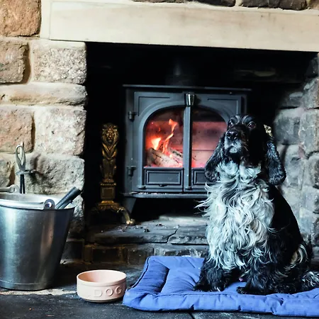 The Golden Lion At 4*