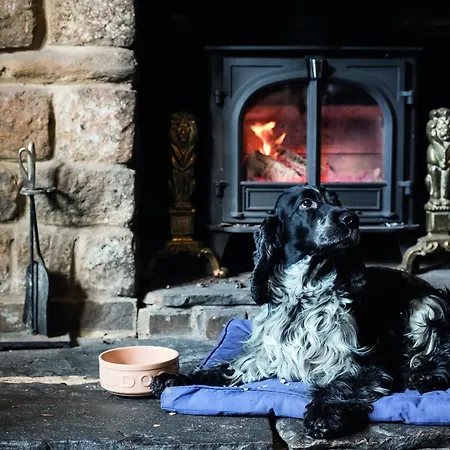 Hotel The Golden Lion At